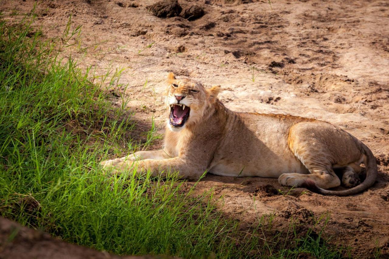Baobab Tented Camp Kwa Kuchinia Экстерьер фото