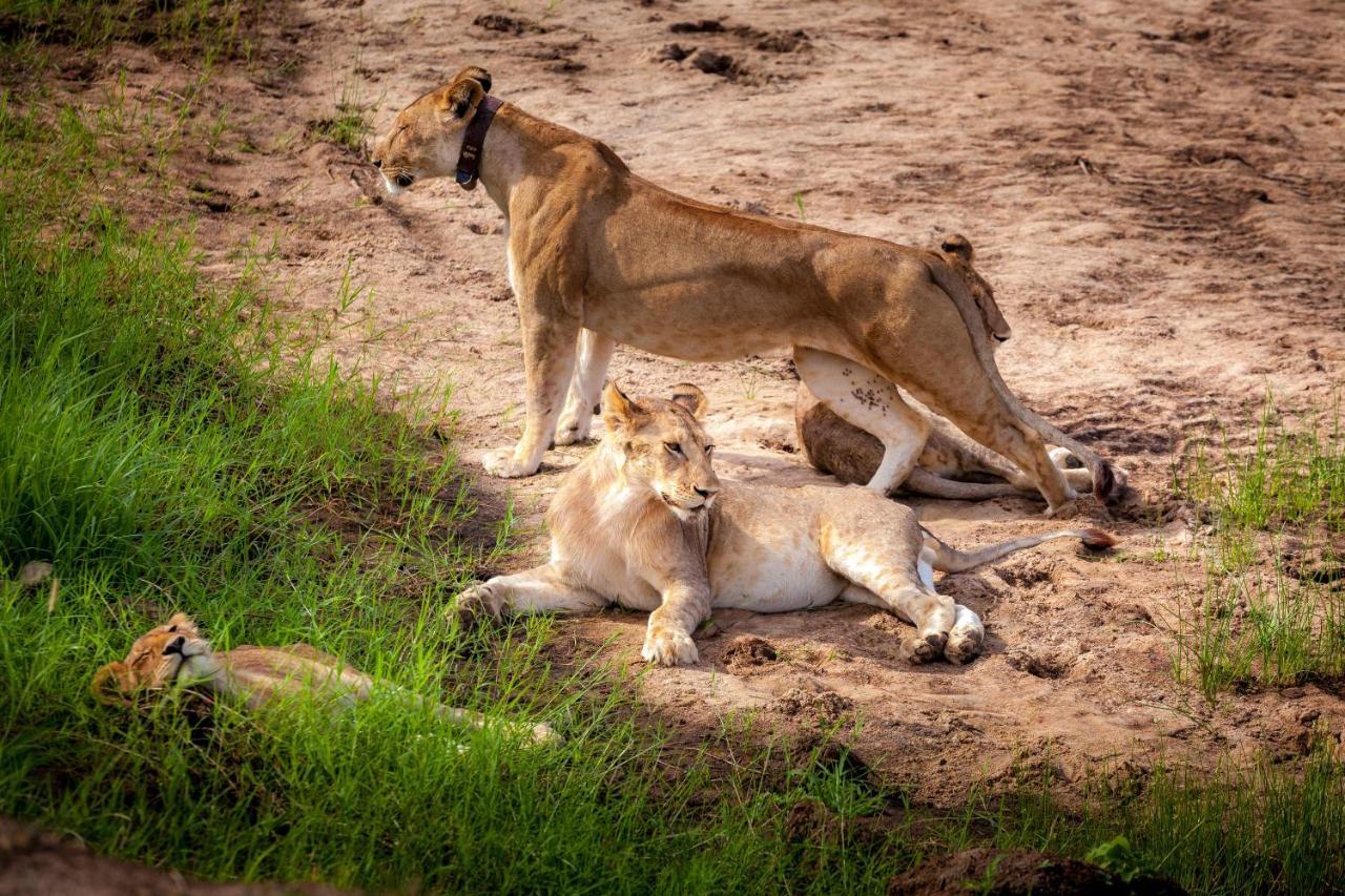 Baobab Tented Camp Kwa Kuchinia Экстерьер фото