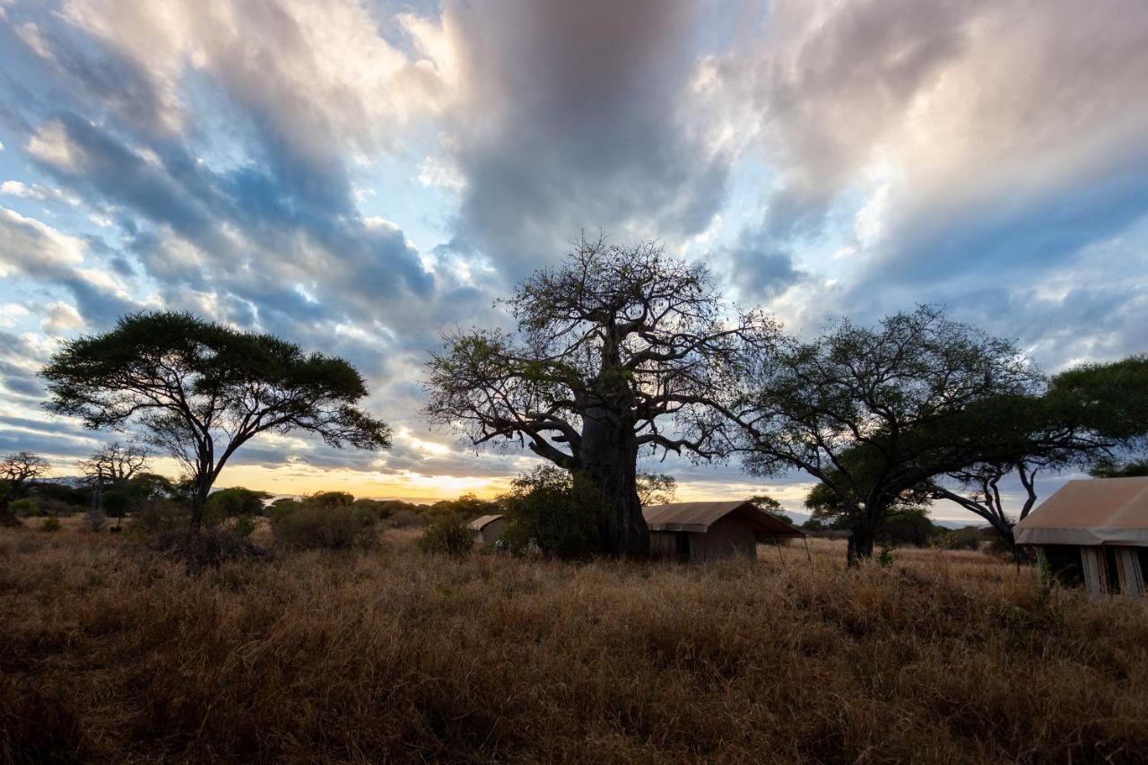 Baobab Tented Camp Kwa Kuchinia Экстерьер фото