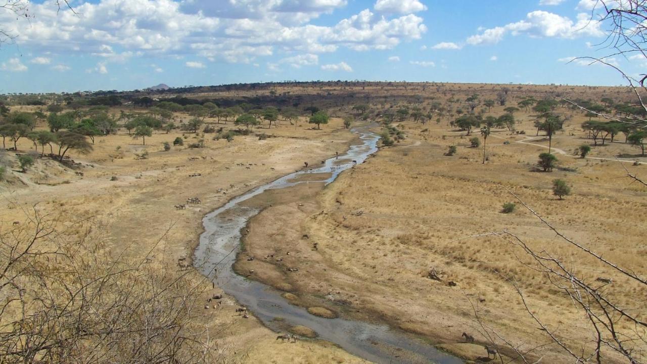 Baobab Tented Camp Kwa Kuchinia Экстерьер фото